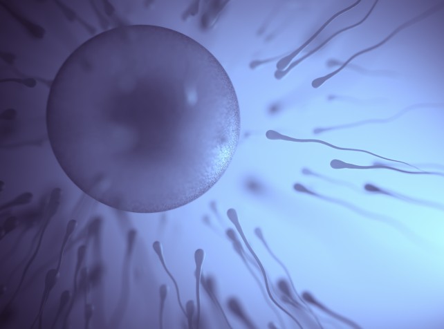 AI gives birth to fresh hope against male infertil