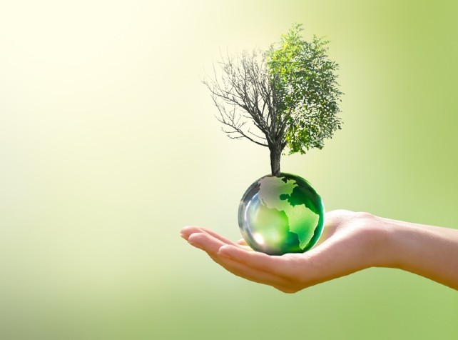 Climate crisis is a health emergency, says experts