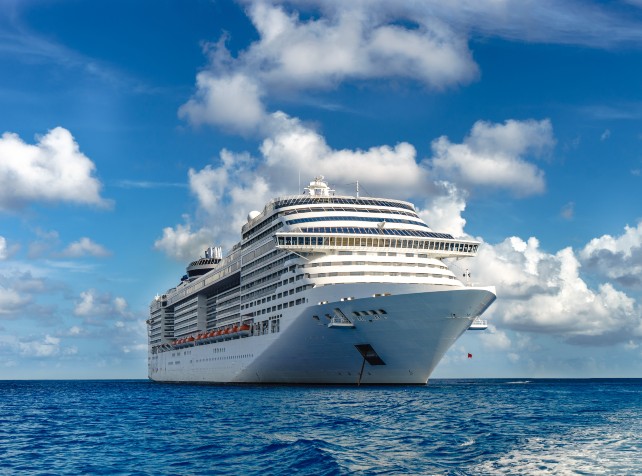 Cruise ship doctor declares dual virus outbreaks o