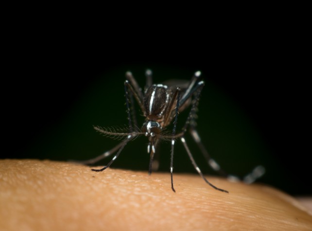 Flesh-eating ulcer becomes 'endemic' in another st