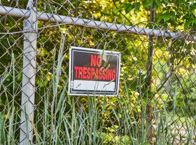 Health alert after thieves steal toxic poppy plant