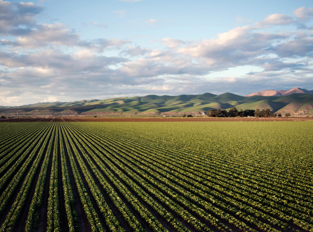How Emerging Trends Shape Regional Agriculture in