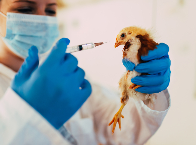 Japan reports bird flu outbreak in north of the co