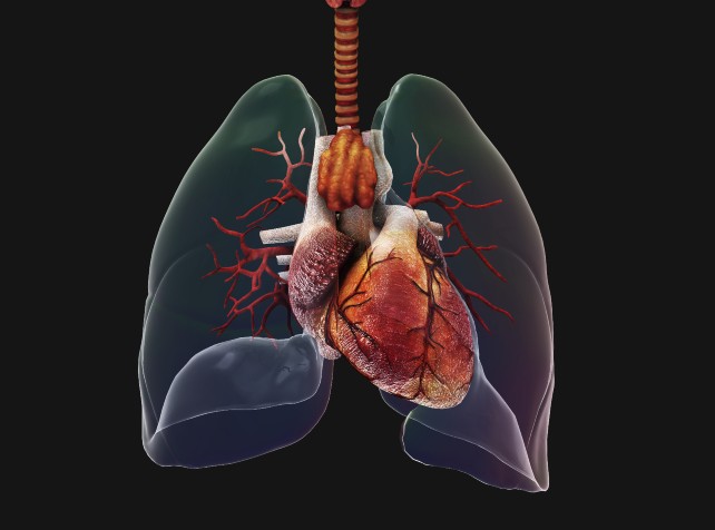 Lung disease to worsen with climate change