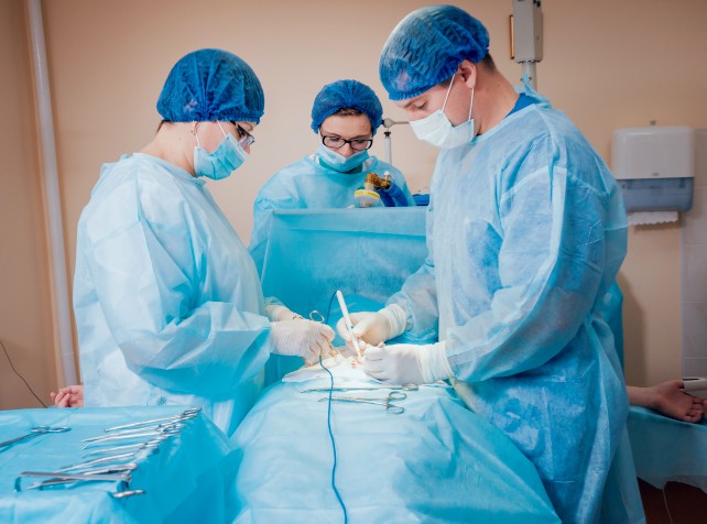 Medical biotech Ferronova completes enrolment for