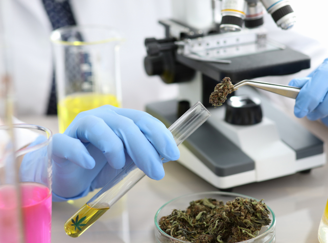 Medicinal cannabis being 'exploited' through teleh