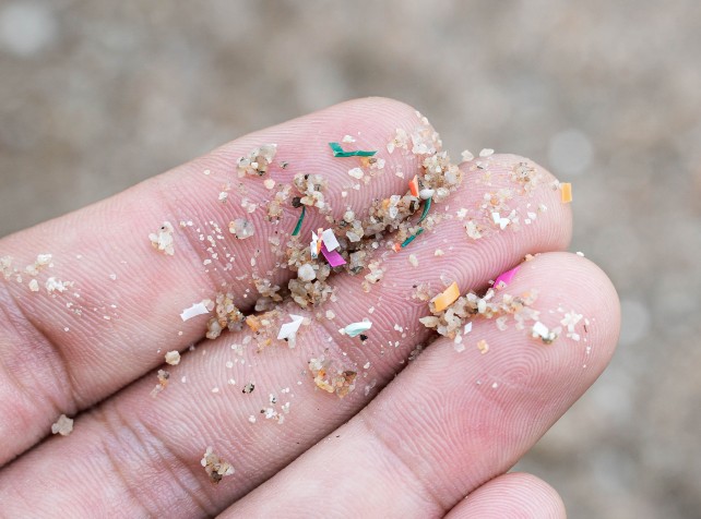 Microplastics pose invisible danger, study reveals