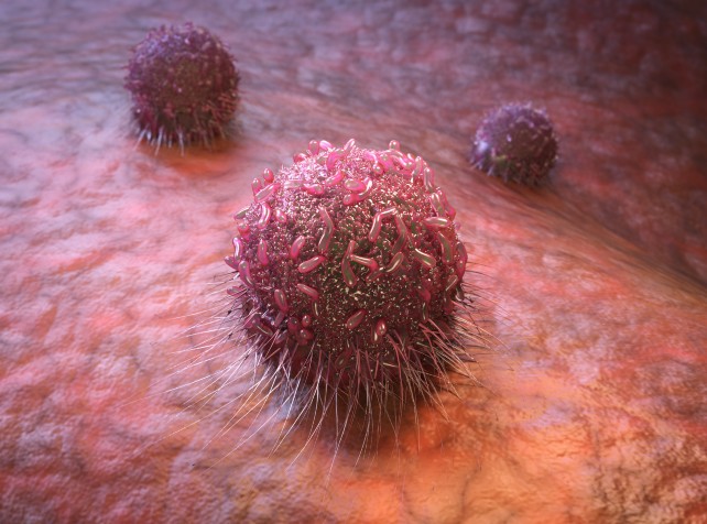 NSW Birds mould and fungus found throughout hospit