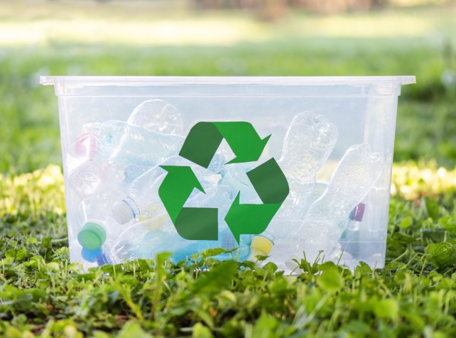 Plastic chemicals doing untold human harm