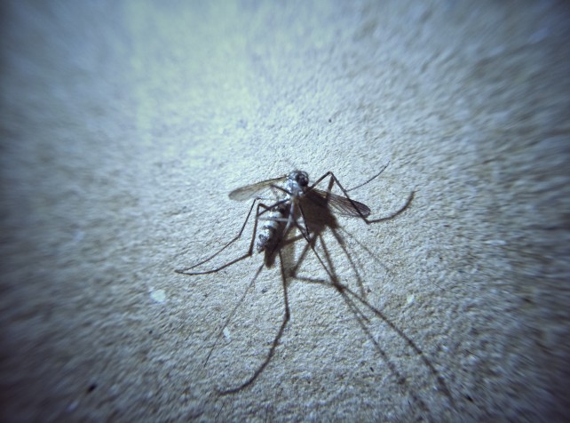 Predictive model to curb outbreaks of dangerous vi