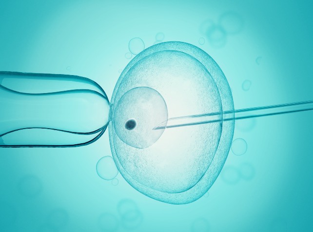 Research shows popular IVF hormone add on may not 
