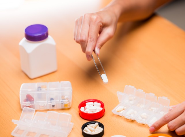 Sniffer dogs deployed as pill testing trial begins