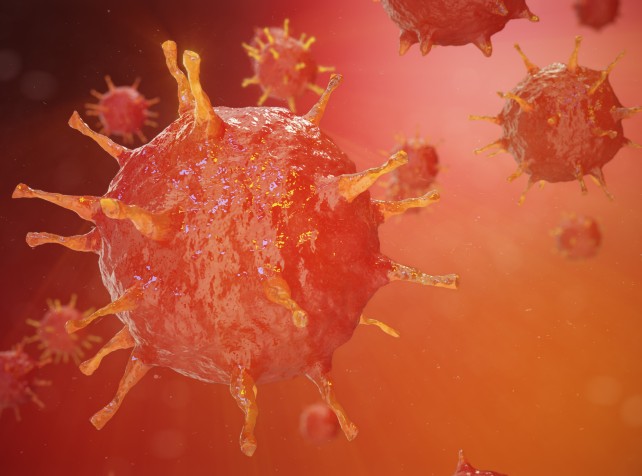 Spain flags swine flu virus transmitted between pe