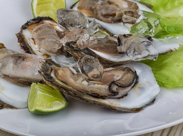 Toxic algae warning for Sydney shellfish