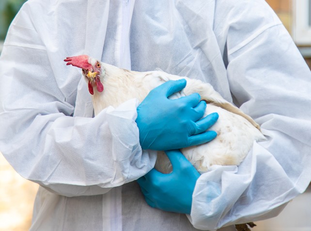 US confirms first severe human case of bird flu