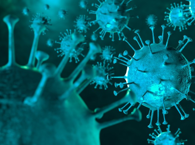 WHO says probe into COVID-19 virus origin still on