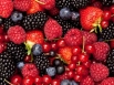 Berries being screened for virus